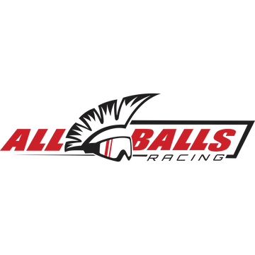 ALL BALLS RACING