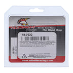 All Balls Racing Brake Pin Kit (18-7022)