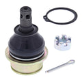 Ball Joint Lower 42-1033