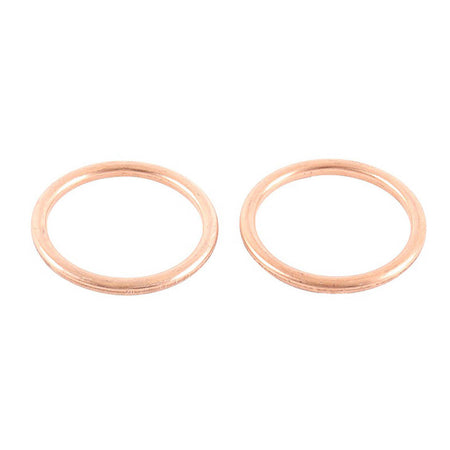 Exhaust Gasket Kit 823018