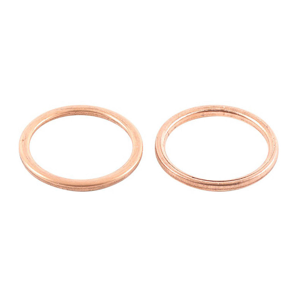 Exhaust Gasket Kit 823048