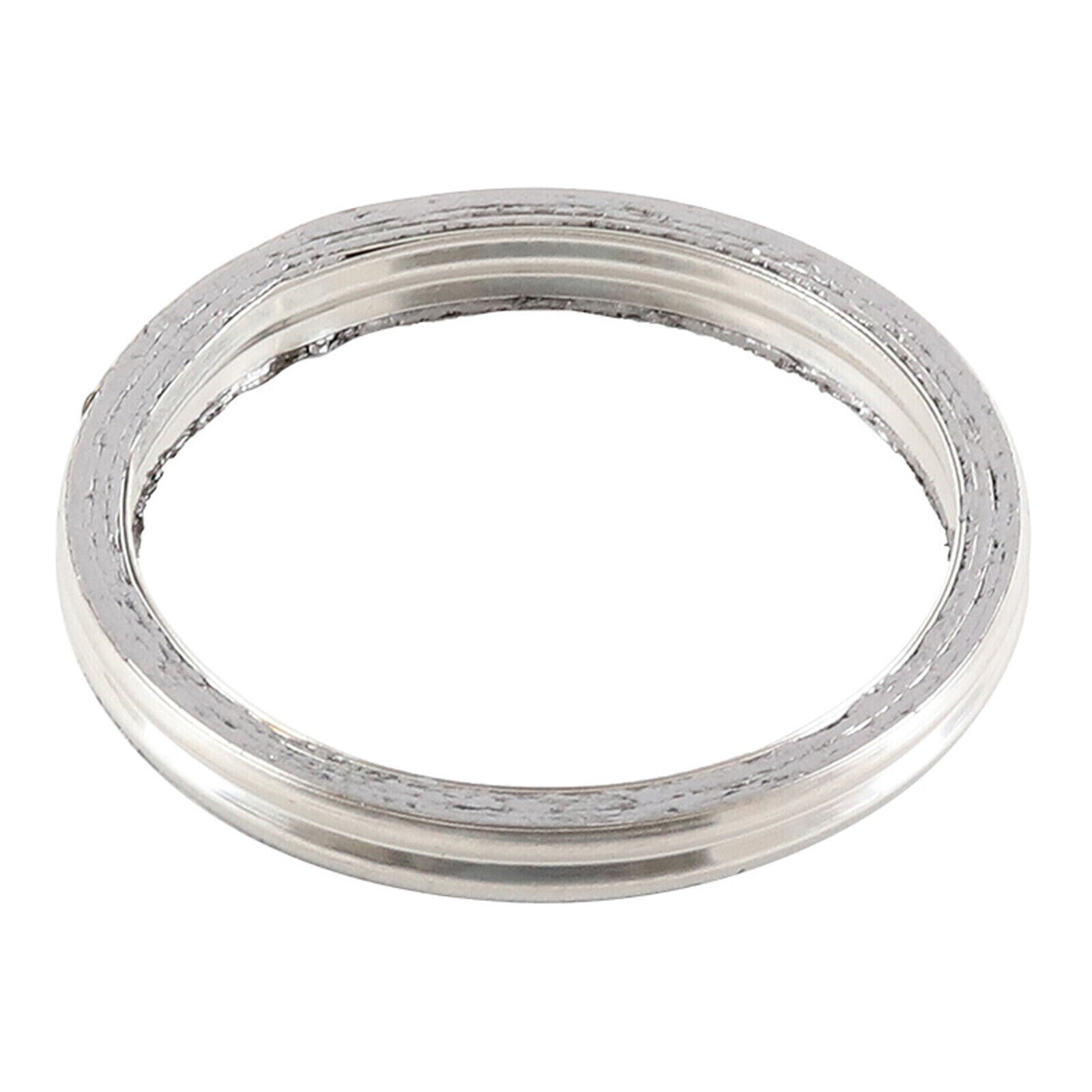 Exhaust Gasket Kit 823070