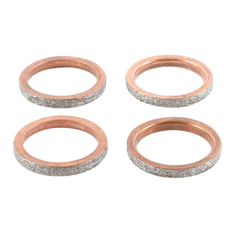 Exhaust Gasket Kit 823125