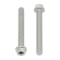 Bolt Euro Torx 6x20mm Flange Bolt (Packet of 10) Refill