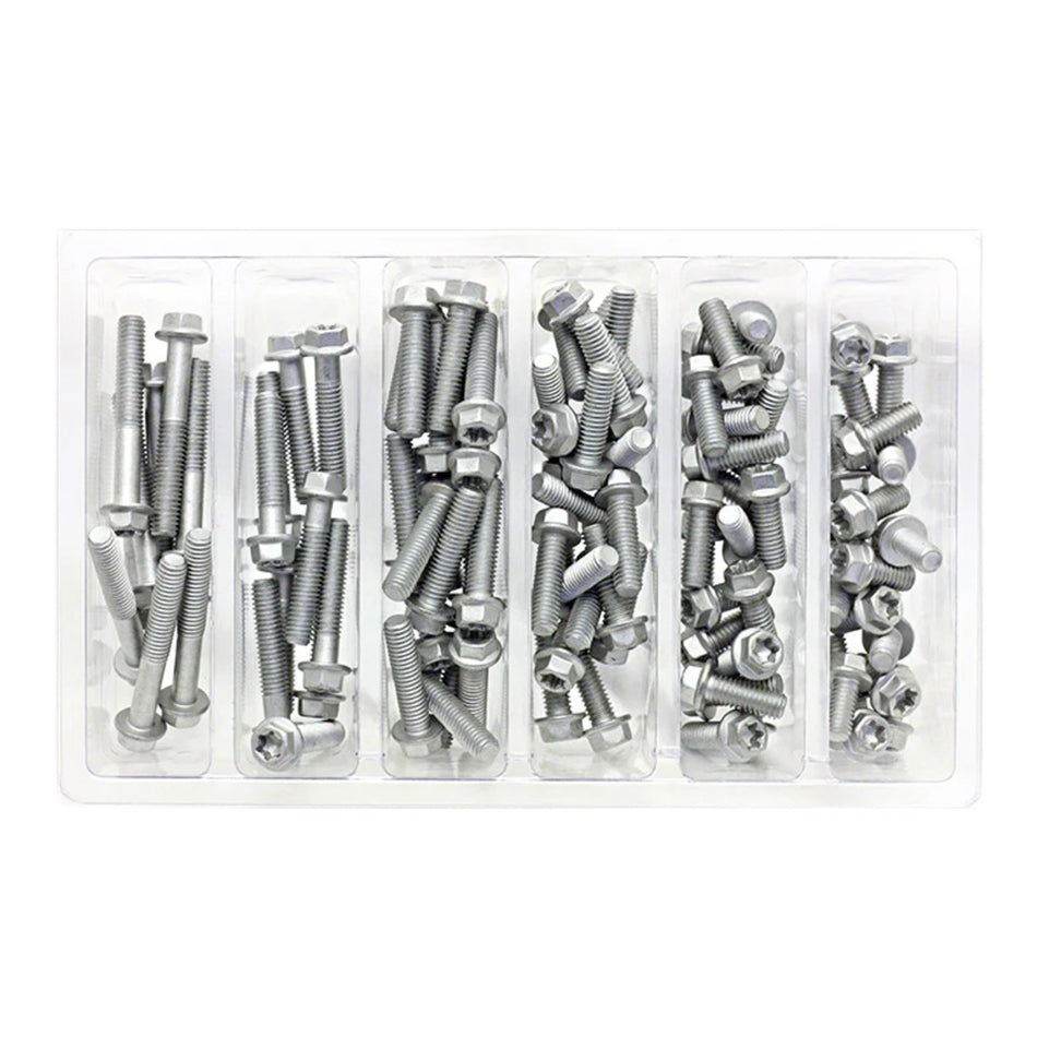 Bolt SVC M6 Euro Torx Bolt Service Kit