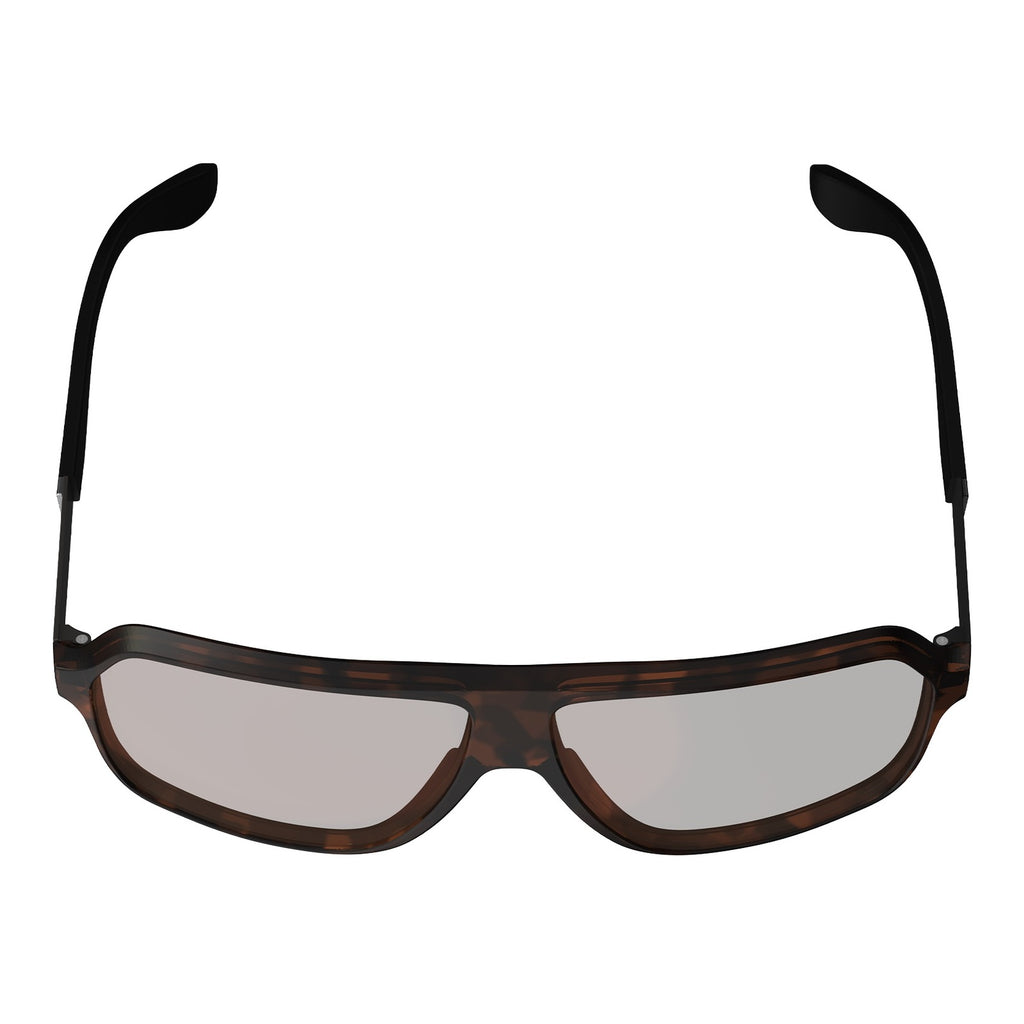 Leatt TheViz Sunglasses Andes - Brown Polarized Brown / Silver 20 VLT