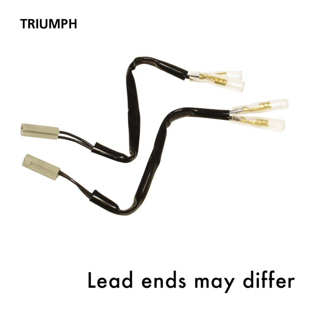 Oxford Indicator Leads Triumph
