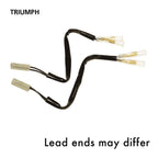 Oxford Indicator Leads Triumph