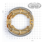 Premier Brake Shoes & Springs