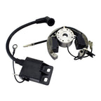 Stator + Rotor + Ignition Coil Kit (RMS900-107608)