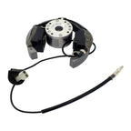 Stator + Rotor + Ignition Coil Kit (RMS900-107608)