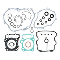 Complete Gasket Set with Oil Seals 8110036