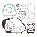 Complete Gasket Set with Oil Seals 8110047