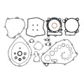 COMPLETE GASKET SET WITH OIL SEALS 8110053