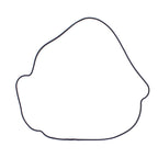 Outer Clutch Gasket Kit 817987