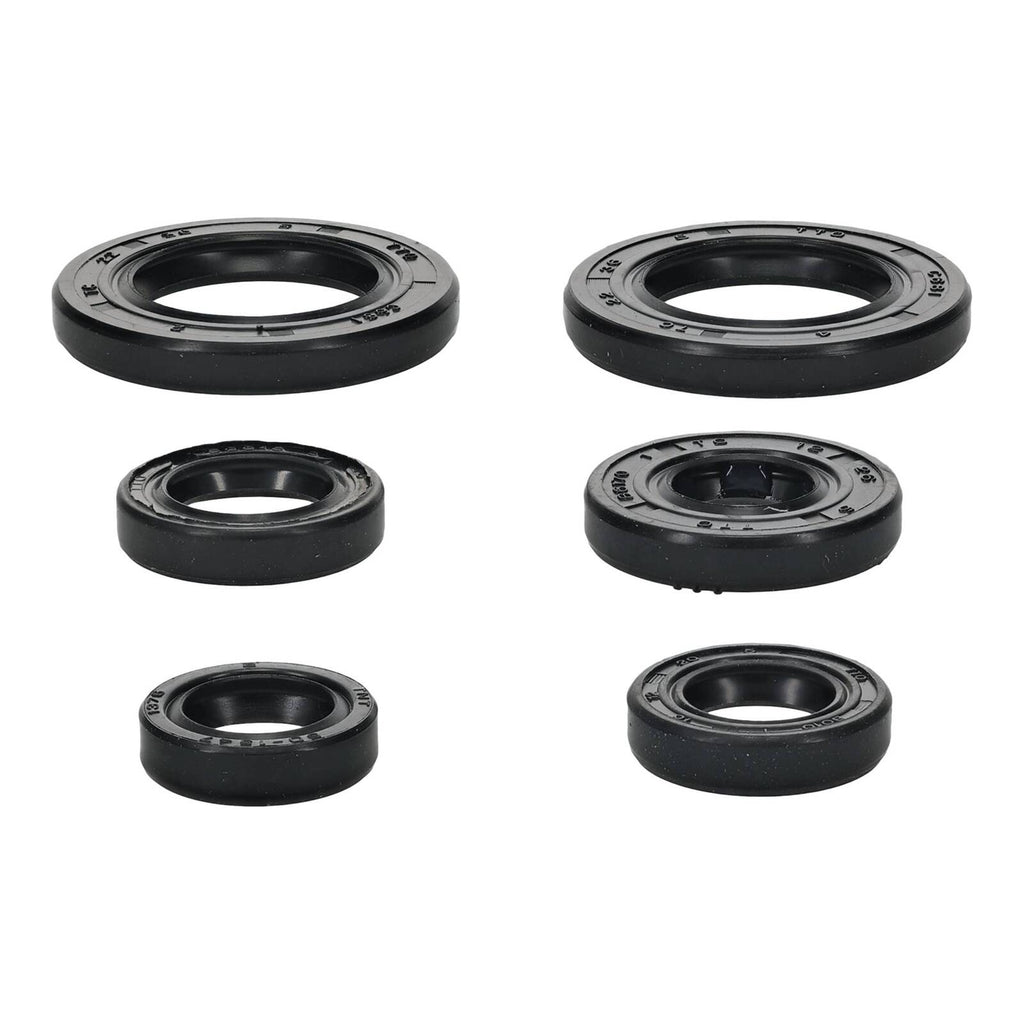 Oil Seal Kit 822391