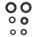 Oil Seal Kit 822391