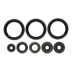 Oil Seal Kit 822403