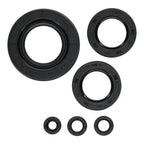Oil Seal Kit 822997