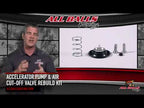 All Balls Racing Accelerator Pump Rebuild Kit (46-3006)